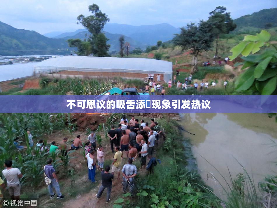 不可思议的吸舌添泬现象引发热议