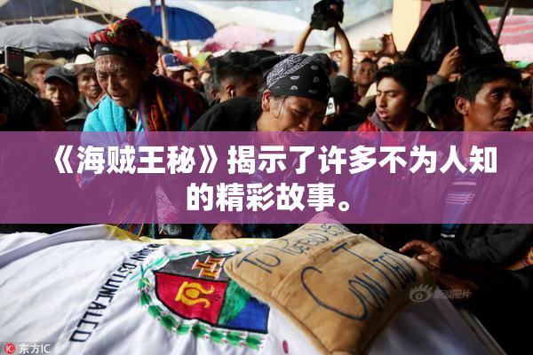 《海贼王秘》揭示了许多不为人知的精彩故事。