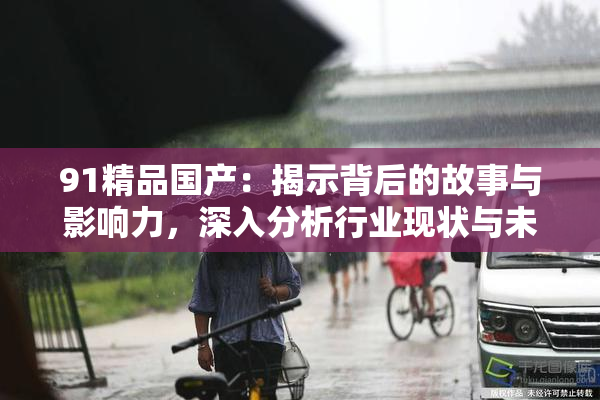 91精品国产：揭示背后的故事与影响力，深入分析行业现状与未来趋势