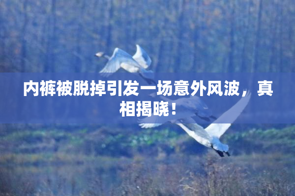 内裤被脱掉引发一场意外风波，真相揭晓！