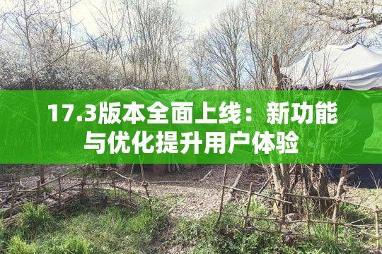17.3版本全面上线：新功能与优化提升用户体验