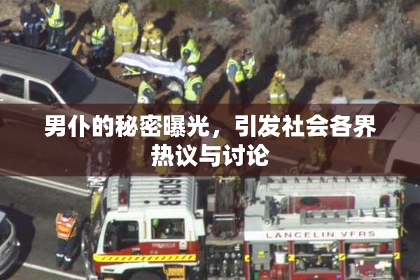 男仆的秘密曝光，引发社会各界热议与讨论