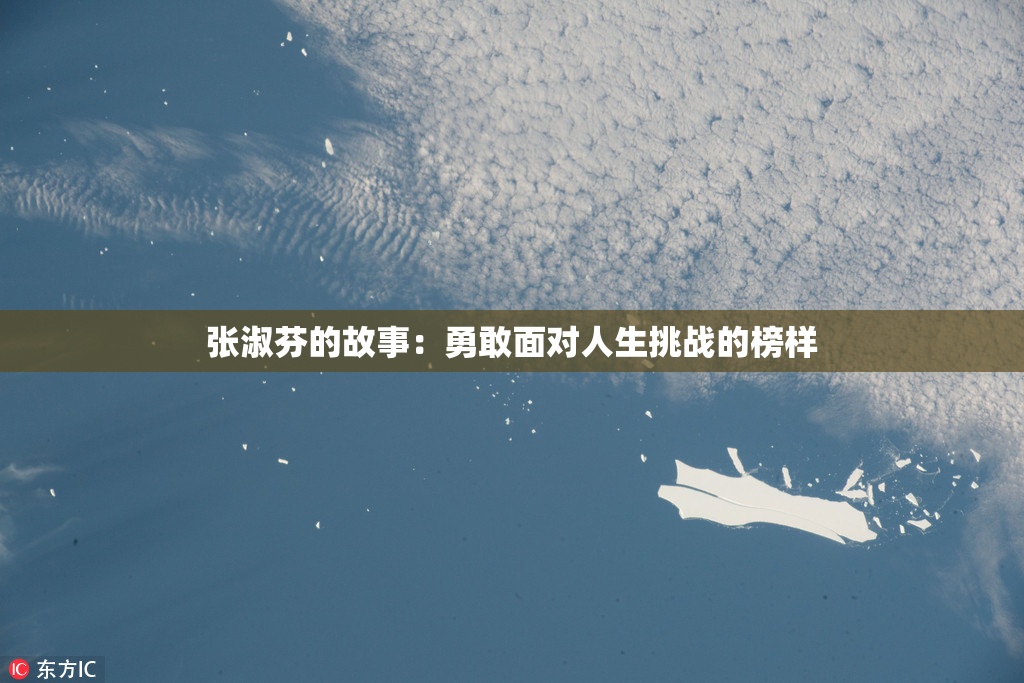 张淑芬的故事：勇敢面对人生挑战的榜样