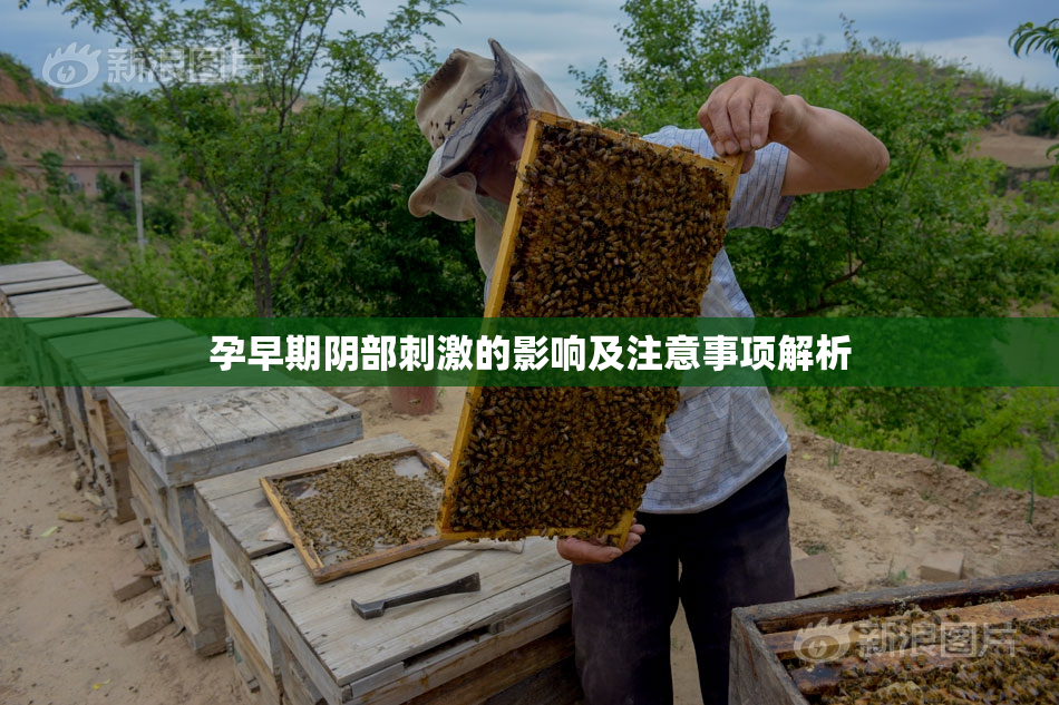 孕早期阴部刺激的影响及注意事项解析