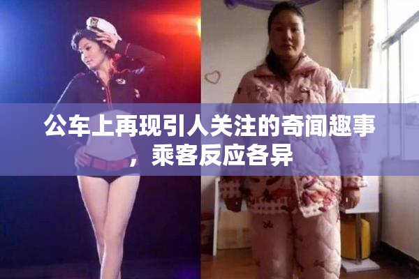 公车上再现引人关注的奇闻趣事，乘客反应各异