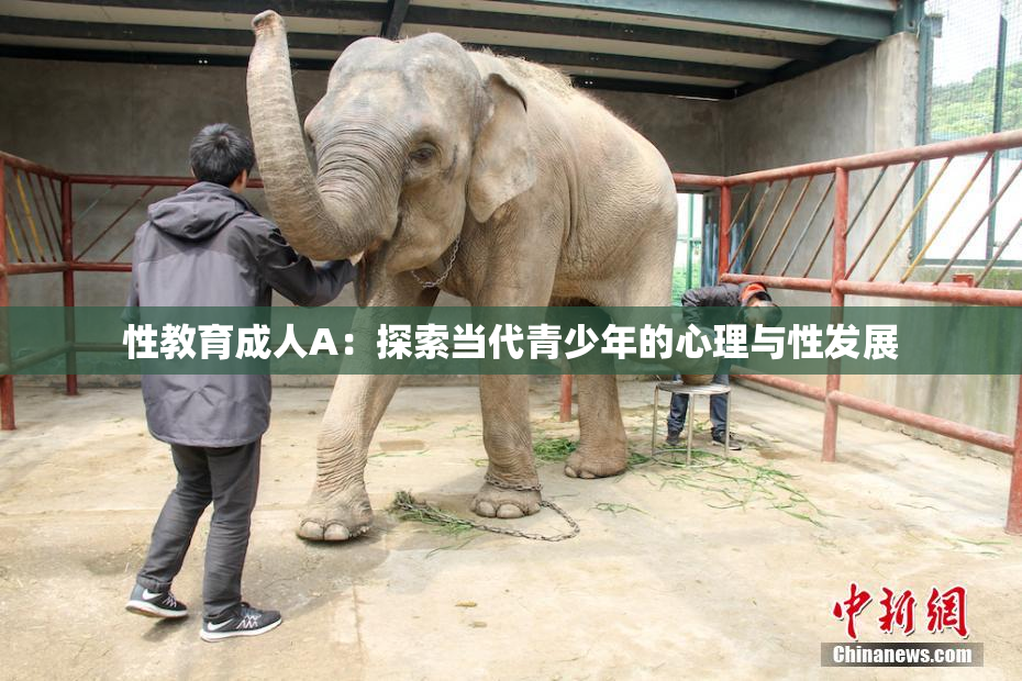 性教育成人A：探索当代青少年的心理与性发展