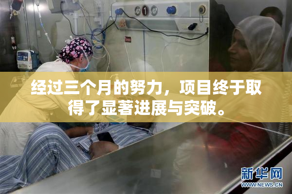 经过三个月的努力，项目终于取得了显著进展与突破。