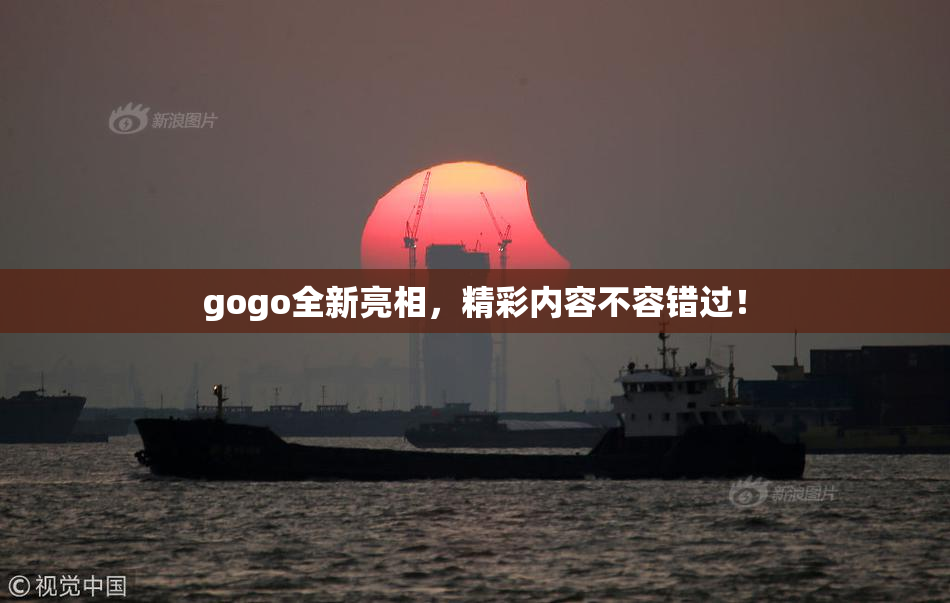 gogo全新亮相，精彩内容不容错过！