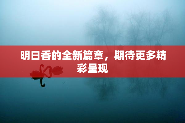 明日香的全新篇章，期待更多精彩呈现