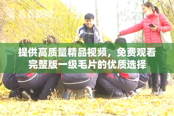 提供高质量精品视频，免费观看完整版一级毛片的优质选择