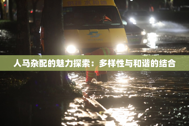 人马杂配的魅力探索：多样性与和谐的结合