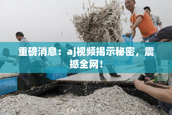 重磅消息：aj视频揭示秘密，震撼全网！