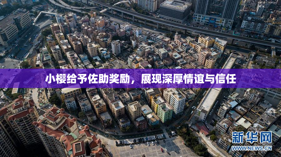 小樱给予佐助奖励，展现深厚情谊与信任