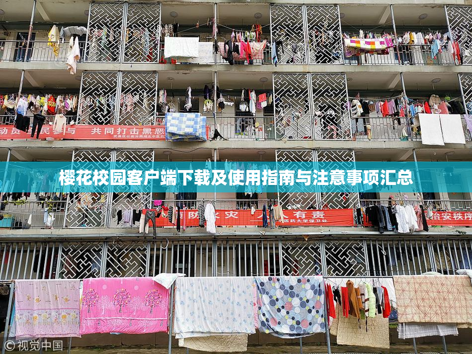 樱花校园客户端下载及使用指南与注意事项汇总