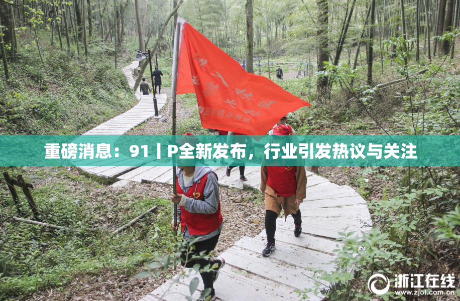 重磅消息：91丨P全新发布，行业引发热议与关注