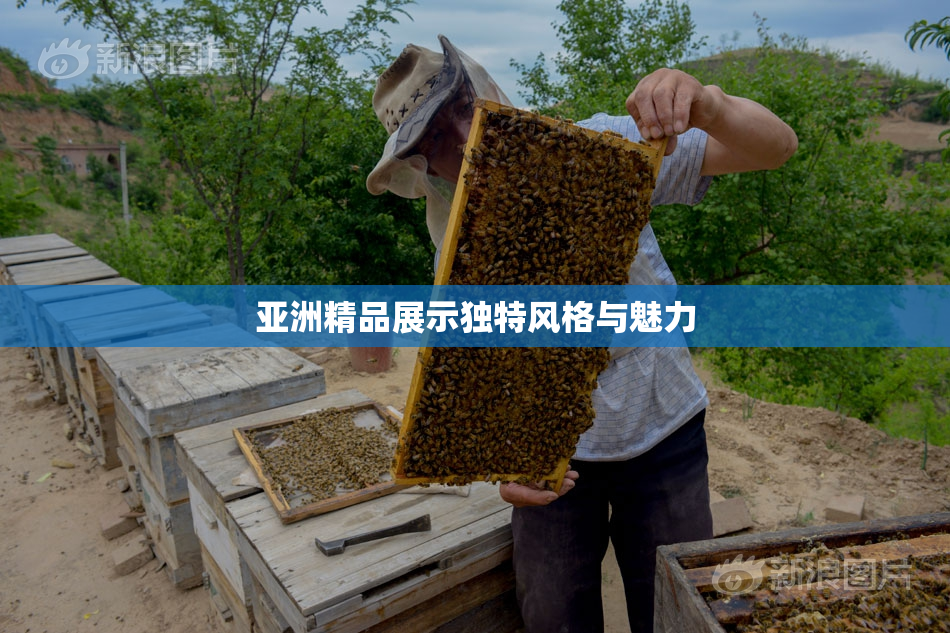 亚洲精品展示独特风格与魅力
