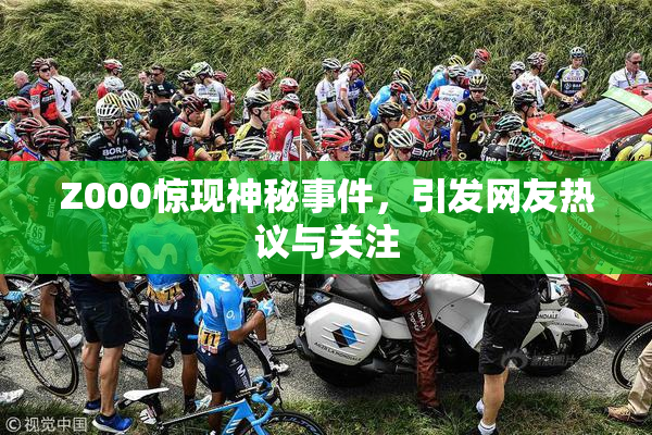 Z000惊现神秘事件，引发网友热议与关注