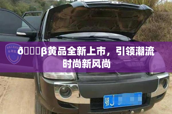 🔞β黄品全新上市，引领潮流时尚新风尚