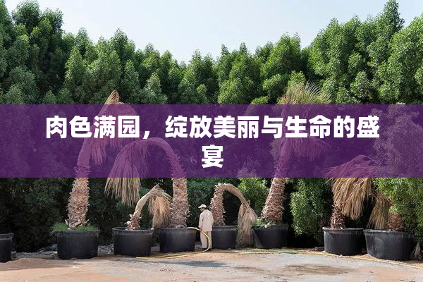 肉色满园，绽放美丽与生命的盛宴