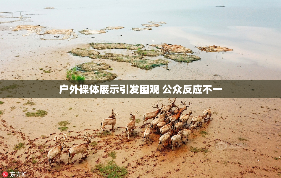 户外裸体展示引发围观 公众反应不一