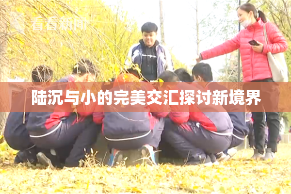 陆沉与小的完美交汇探讨新境界