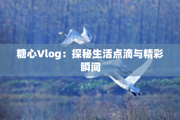 糖心Vlog：探秘生活点滴与精彩瞬间