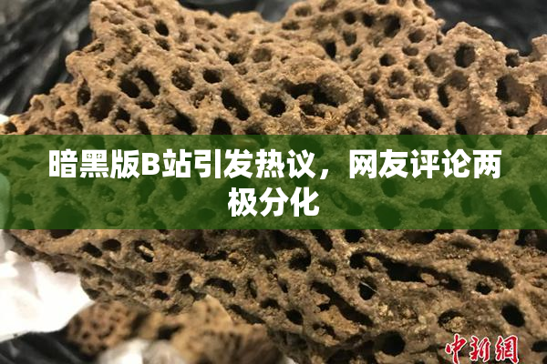 暗黑版B站引发热议，网友评论两极分化