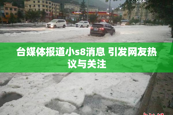 台媒体报道小s8消息 引发网友热议与关注