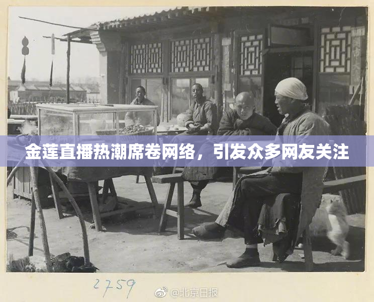 金莲直播热潮席卷网络，引发众多网友关注