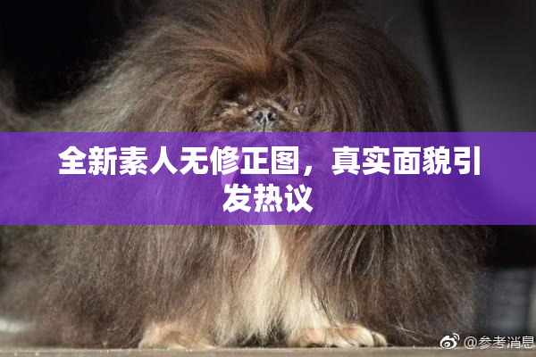 全新素人无修正图，真实面貌引发热议