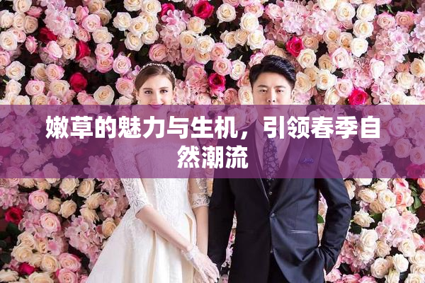 嫩草的魅力与生机，引领春季自然潮流