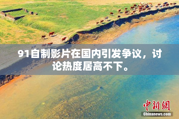 91自制影片在国内引发争议，讨论热度居高不下。