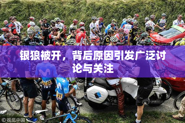 银狼被开，背后原因引发广泛讨论与关注