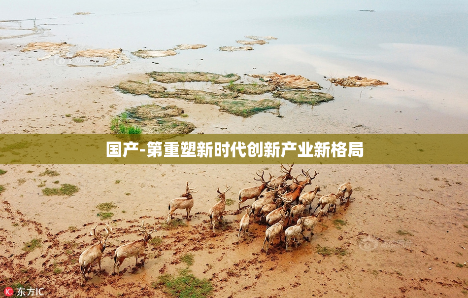 国产-第重塑新时代创新产业新格局