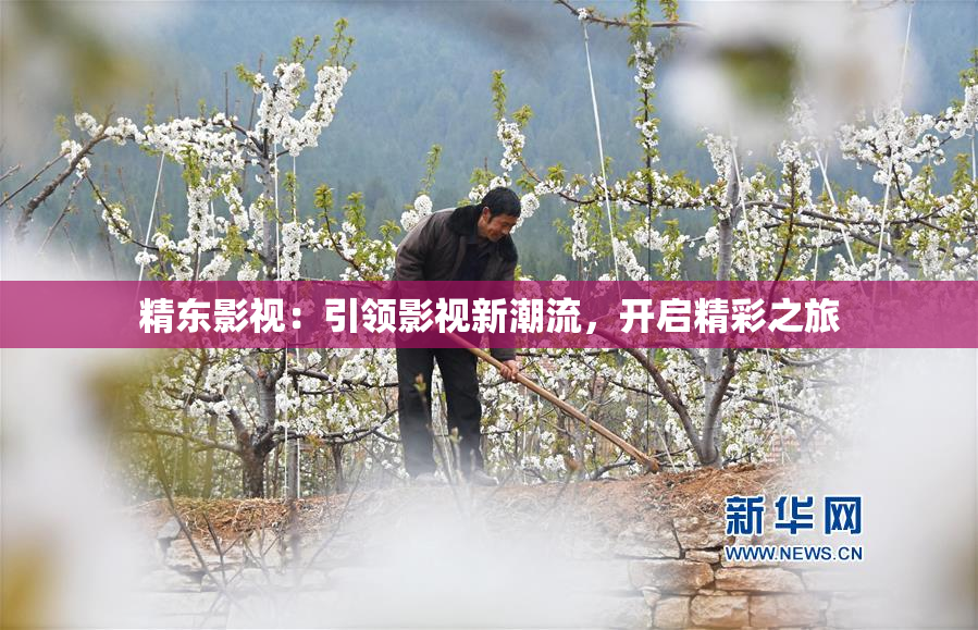精东影视：引领影视新潮流，开启精彩之旅