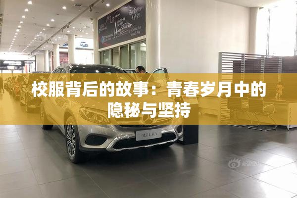 校服背后的故事：青春岁月中的隐秘与坚持