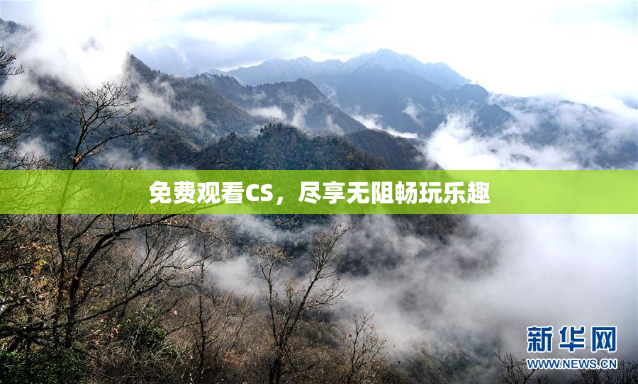 免费观看CS，尽享无阻畅玩乐趣