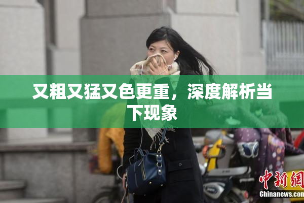 又粗又猛又色更重，深度解析当下现象
