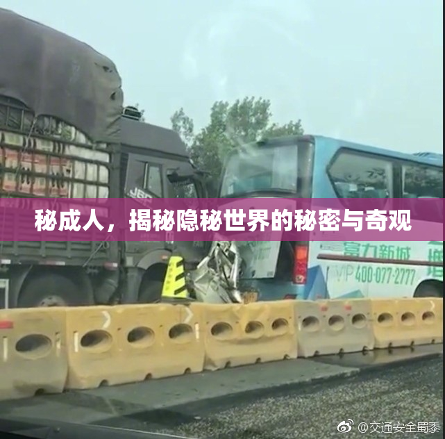 秘成人，揭秘隐秘世界的秘密与奇观