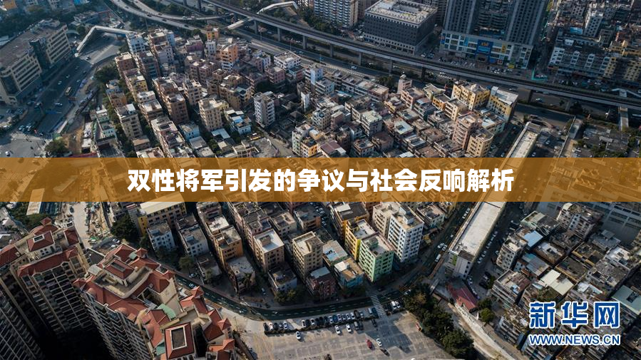双性将军引发的争议与社会反响解析