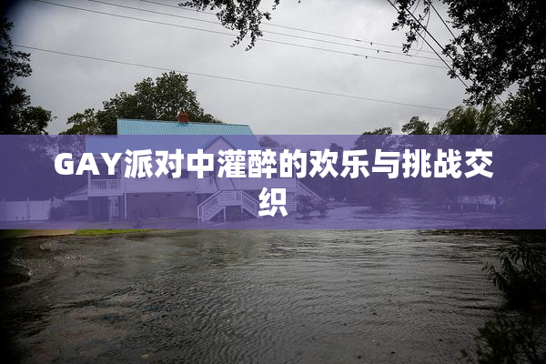 GAY派对中灌醉的欢乐与挑战交织