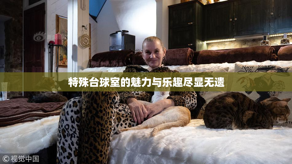 特殊台球室的魅力与乐趣尽显无遗