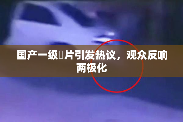 国产一级婬片引发热议，观众反响两极化