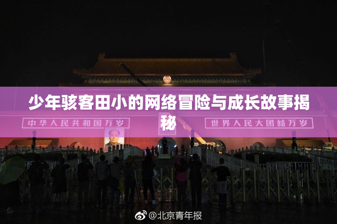 少年骇客田小的网络冒险与成长故事揭秘