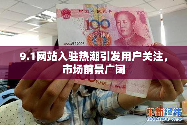 9.1网站入驻热潮引发用户关注，市场前景广阔
