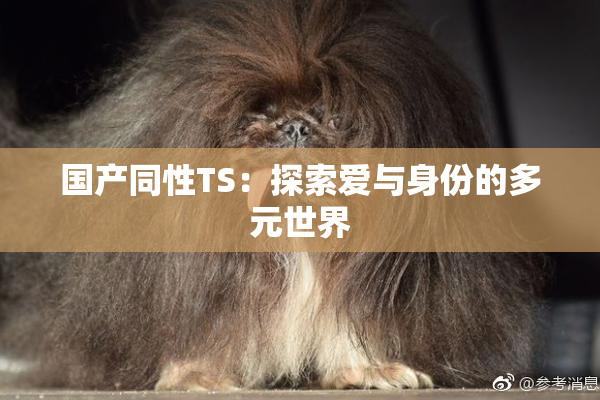 国产同性TS：探索爱与身份的多元世界