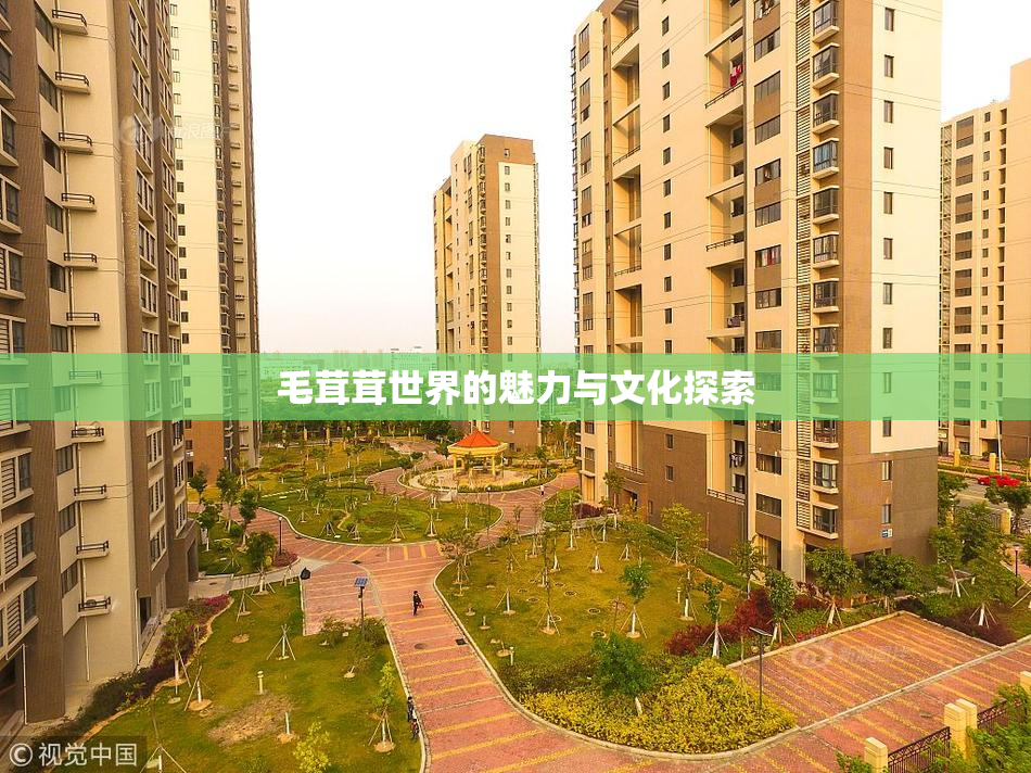 毛茸茸世界的魅力与文化探索
