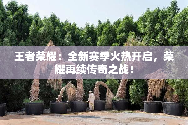 王者荣耀：全新赛季火热开启，荣耀再续传奇之战！