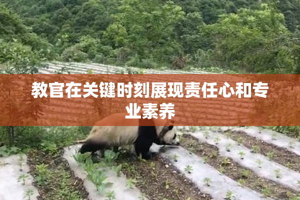 教官在关键时刻展现责任心和专业素养