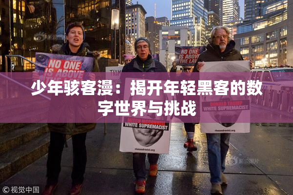 少年骇客漫：揭开年轻黑客的数字世界与挑战